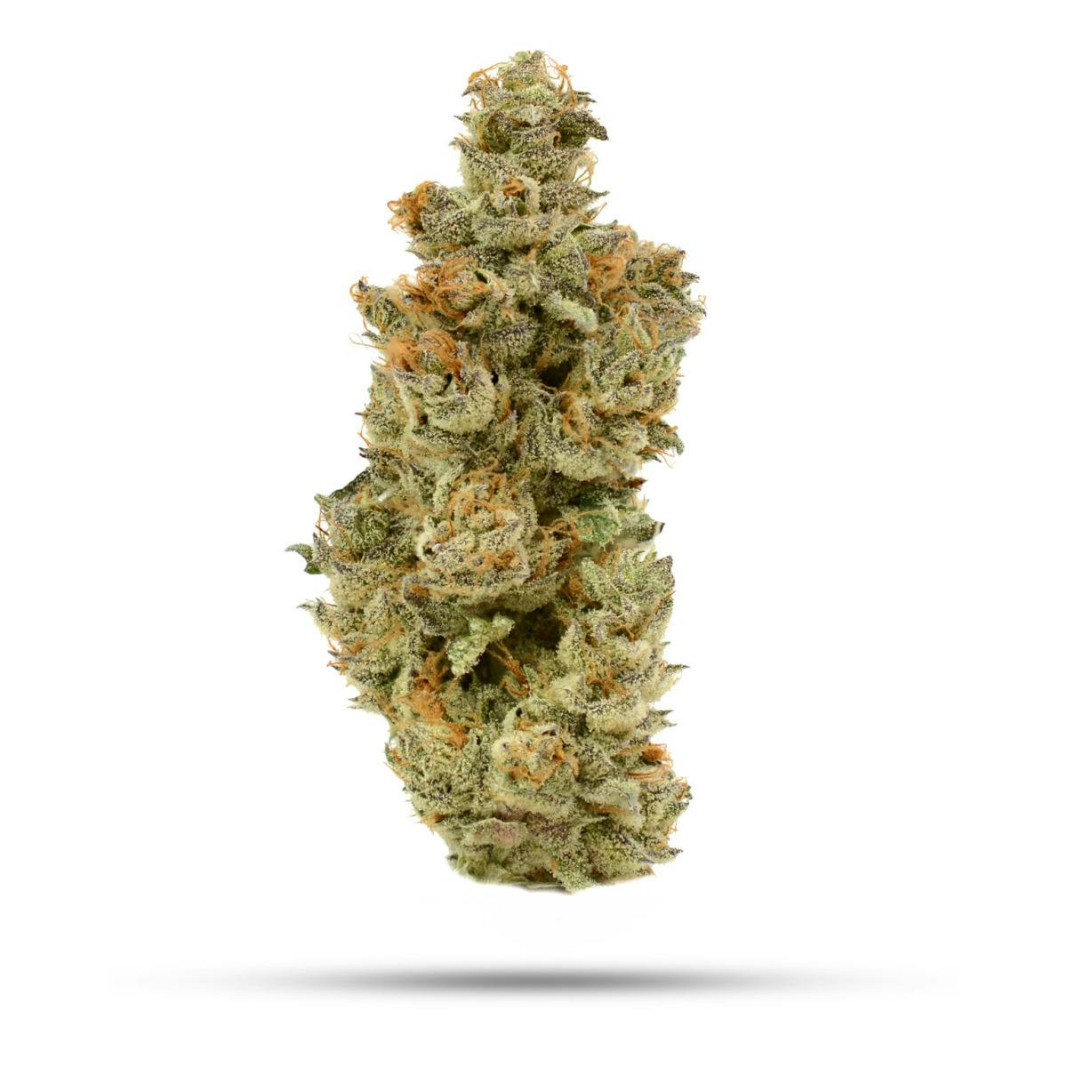 Flower | Bluethousand 9 | 3.5g | CMS Gardens