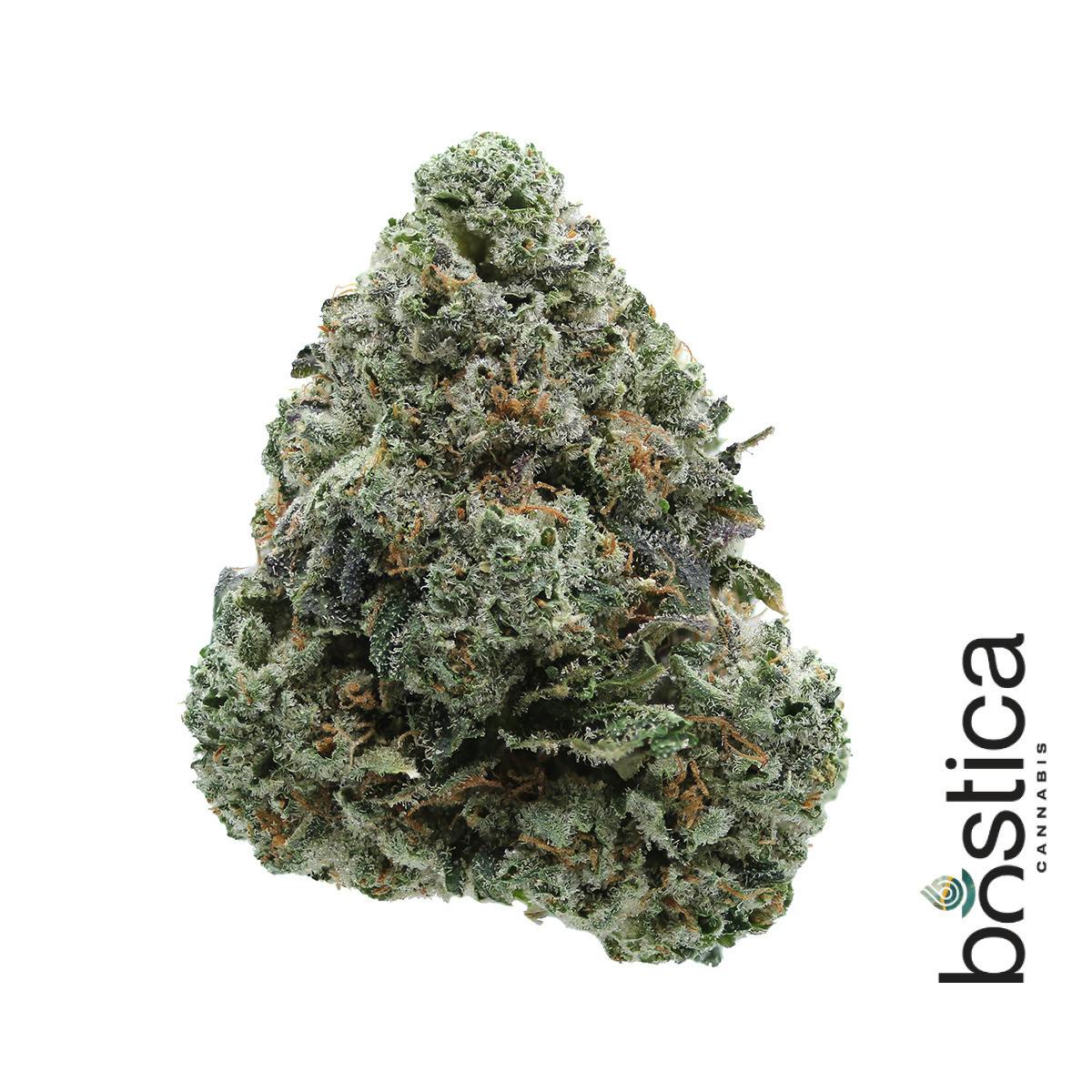 Flower | Project 4516 | 3.5g | Bostica