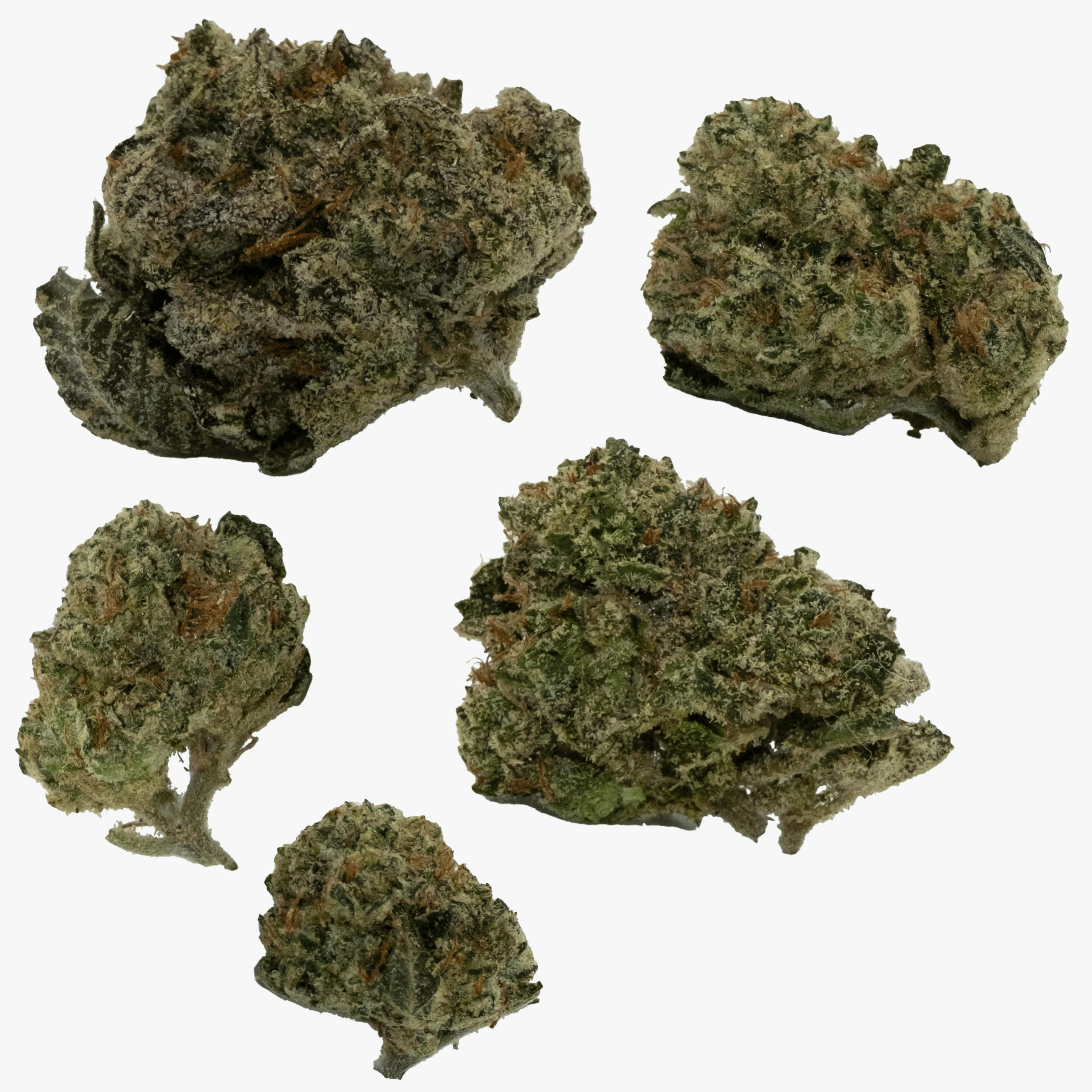 Jungle Pie