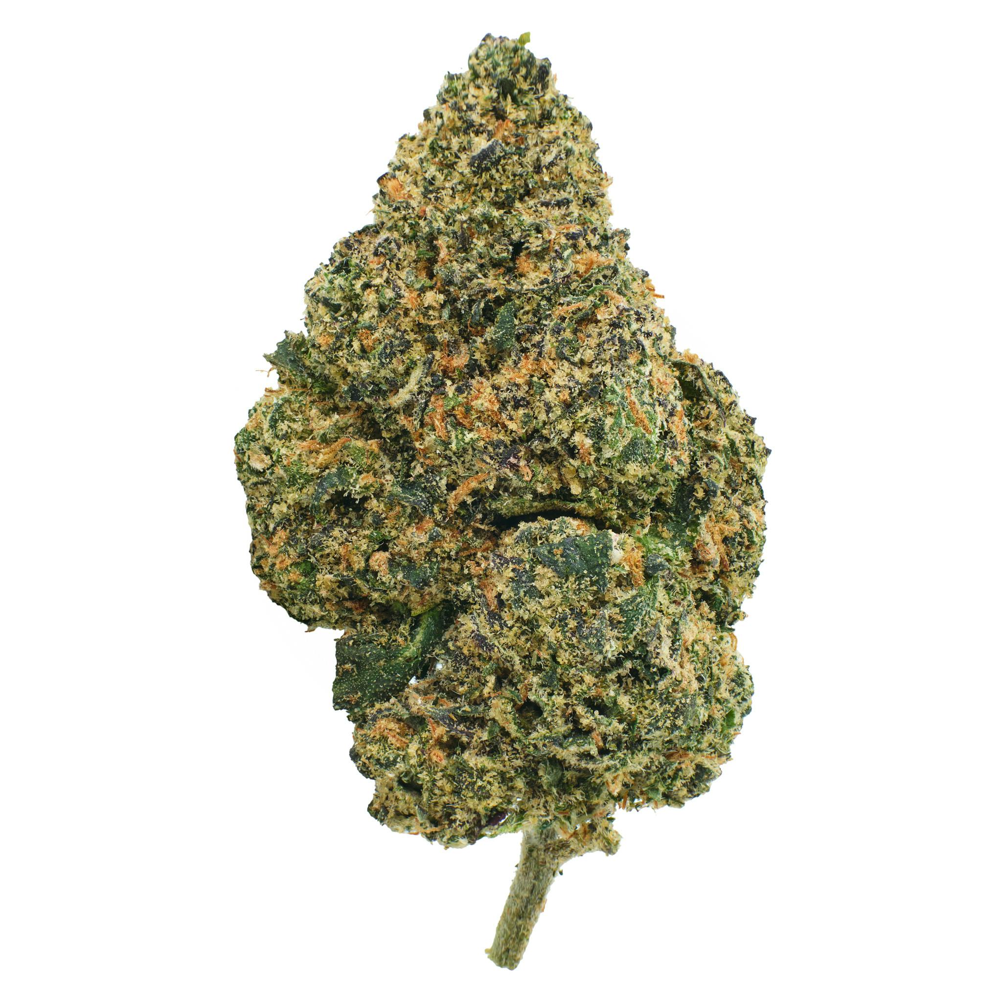 Black Cherry Gelato