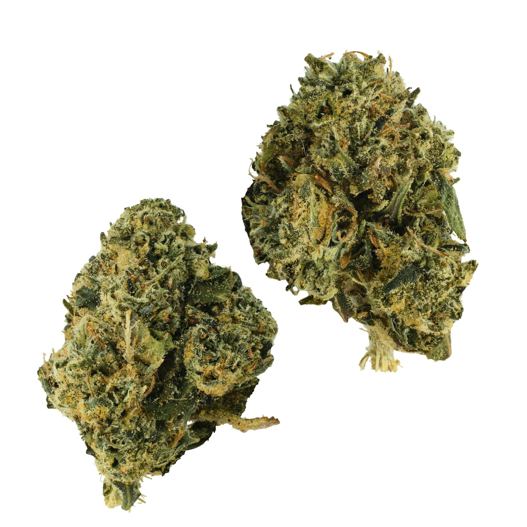 Gelato x Thin Mint