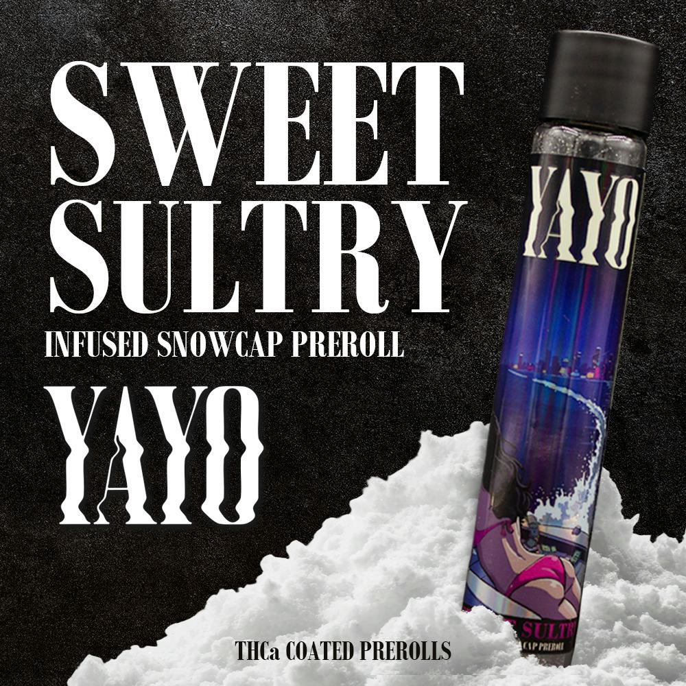Yayo | 1.25g Infused Snow Cap Preroll | Sweet Sultry