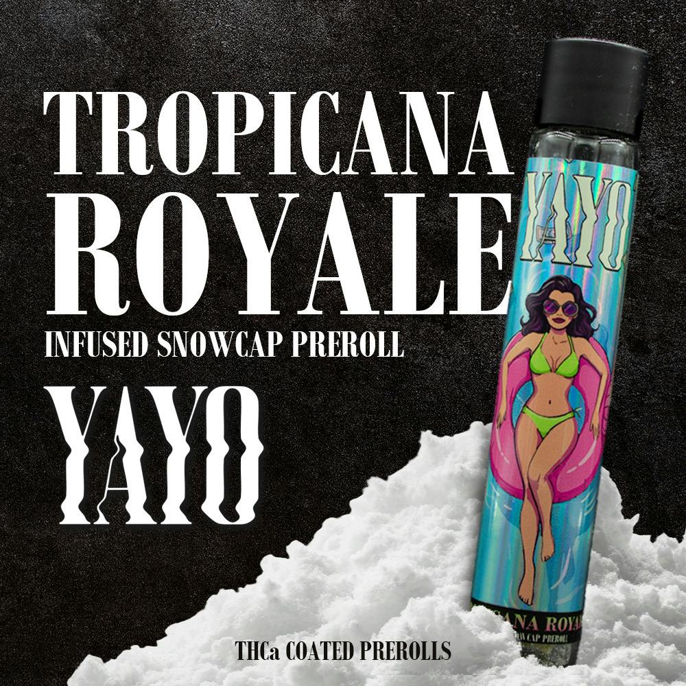 Yayo | 1.25g Infused Snow Cap Preroll | Tropicanna Royale