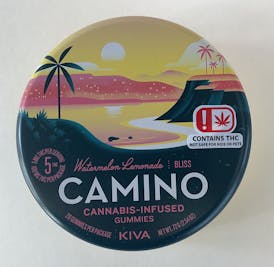 Camino - Watermelon Lemonade - 100MG