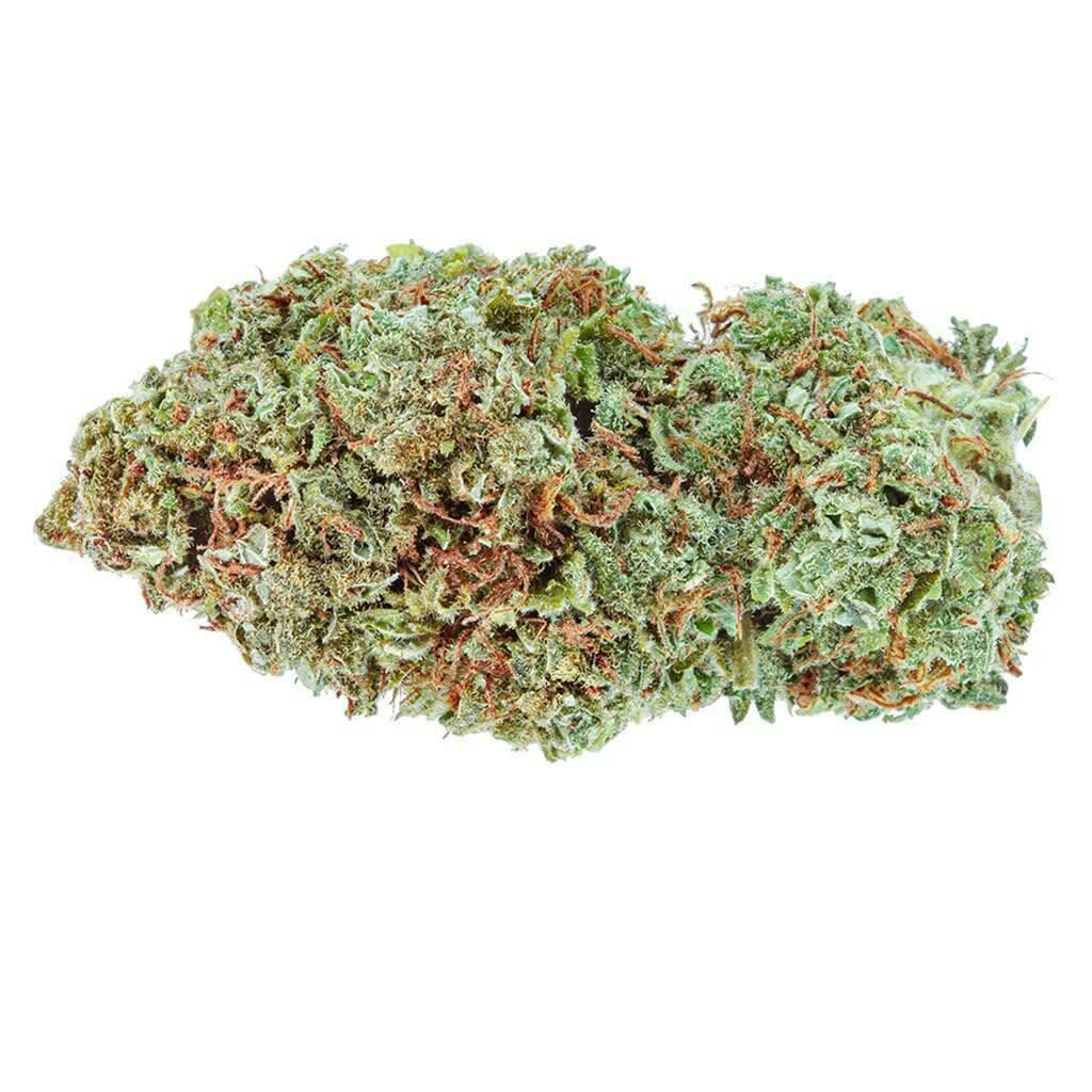 Amsterdam Sativa 28g Dried Flower
