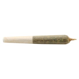 Lil Buddy Sativa Pre-Roll 1x0.5g Pre-Rolls