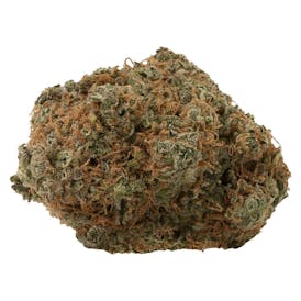 Fast Lane Sativa 3.5g Dried Flower - Fast Lane Sativa 3.5g Dried Flower