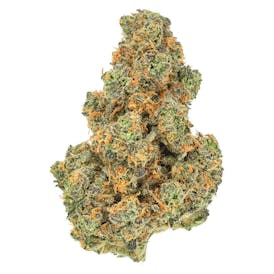 Pink Diesel '71 3.5g Dried Flower