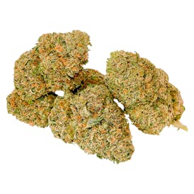 Ice Cream Wizard Dried Flower