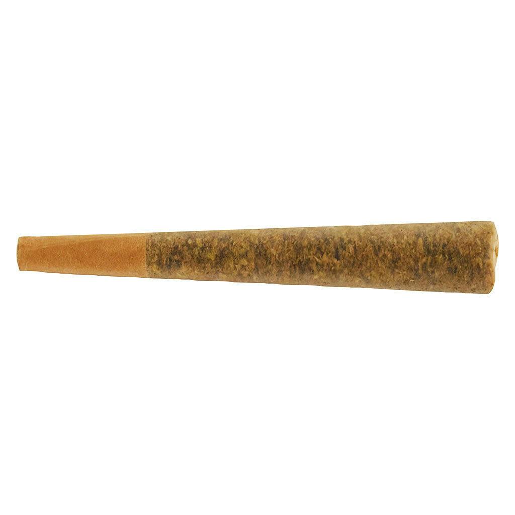 Roman Circus Pre-Roll