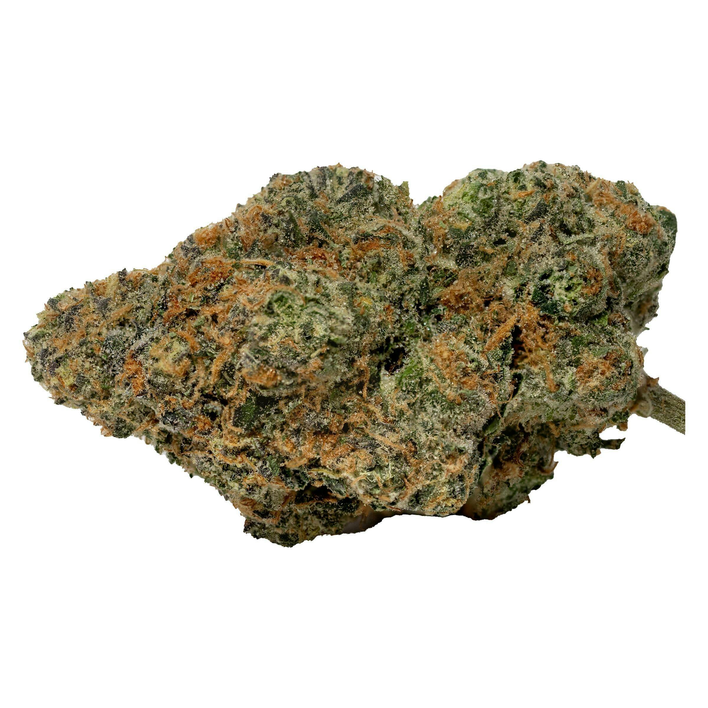 Studio 54 3.5g Dried Flower