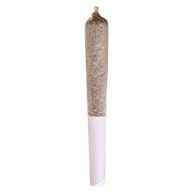 Ghost Train Haze Pre-Roll 1x0.5g Pre-Rolls