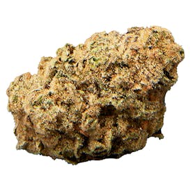 P.S. Cheetah 3.5g Dried Flower