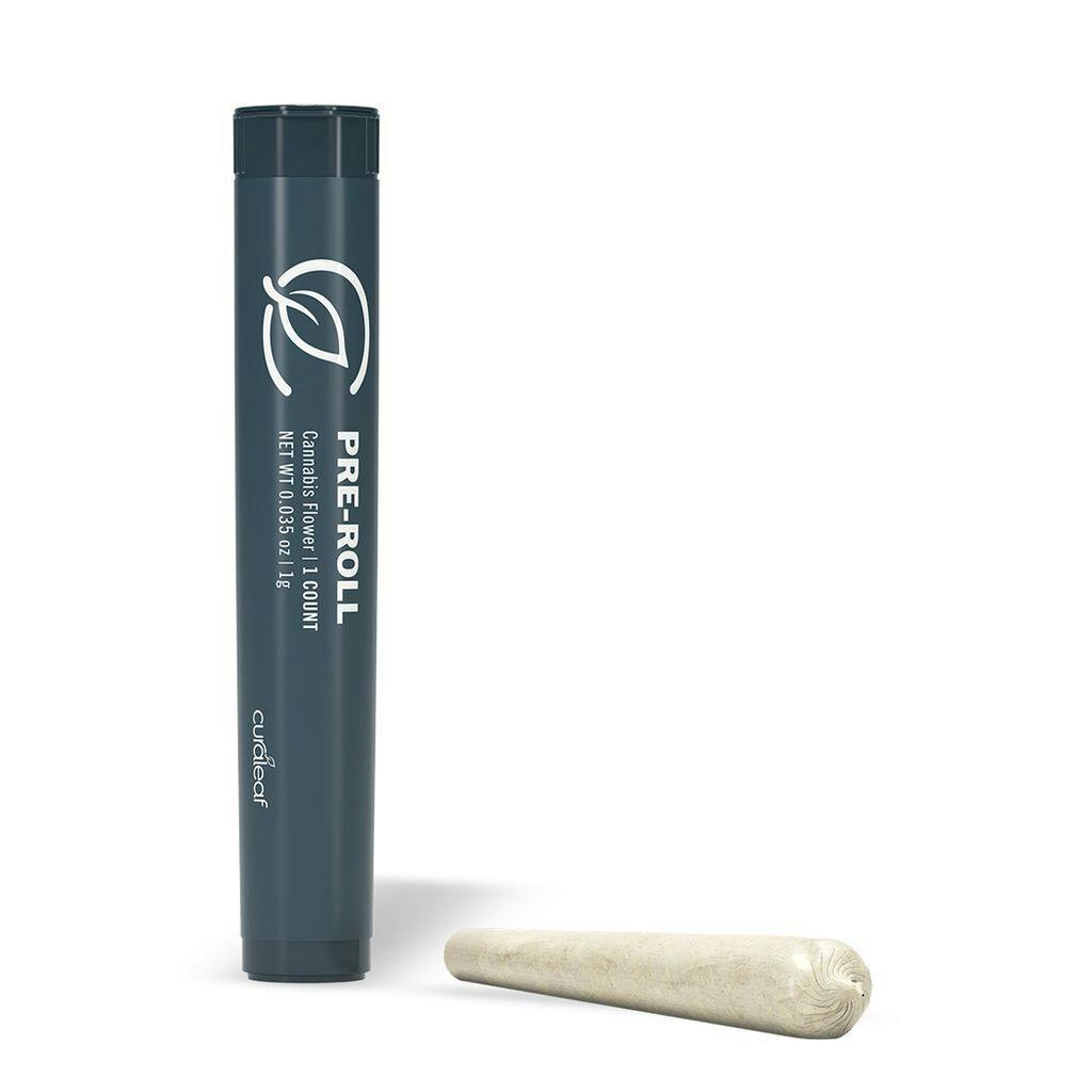 Curaleaf Stardawg x Northern Lights Pre-Roll Single | 1g at Curaleaf Dispensary Destin