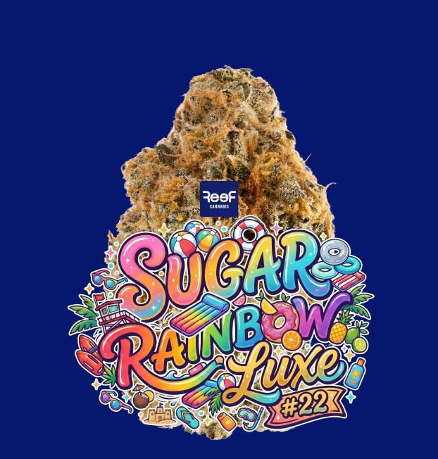 Reef Sugar Rainbow Luxe #22 Pre-Roll 1g at Curaleaf Dispensary Sanford