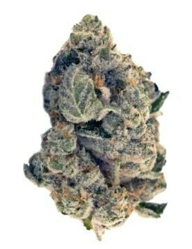 Flint & Embers - GSC Kush - 3.5g