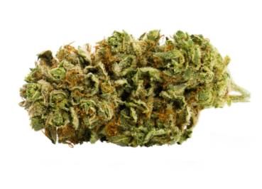 Royal City - Craft Meat Breath (Meatloaf x Mendo Breath) - 3.5g (Indica)