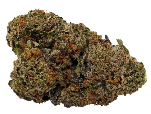 DOJA - Fresh Biscotti (Fresh Water Taffy x Biscotti Sundae) - 3.5g (Hybrid)