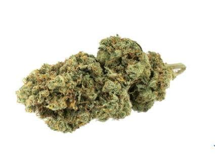 MSIKU - Star Struck (Stardawg x Arise) - 3.5g (Sativa)