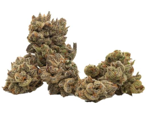 Qwest - Icicle (White Sherb x Jet Fuel Gelato) - 3.5g (Hybrid)