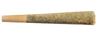 Fuego - Sunny Daze Pre-Roll - 1x0.5g (Sativa)