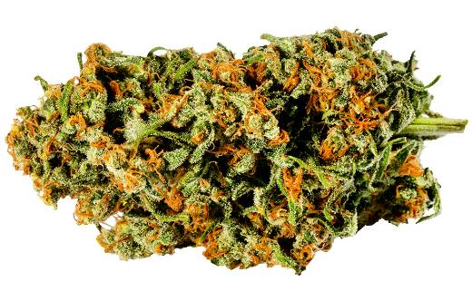 Redecan - Warlock (Skunk #1 x Afghani) - 1g (Indica)