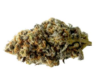 Gas Station - JMO (Jelly Breath x GMO) - 3.5g (Indica)