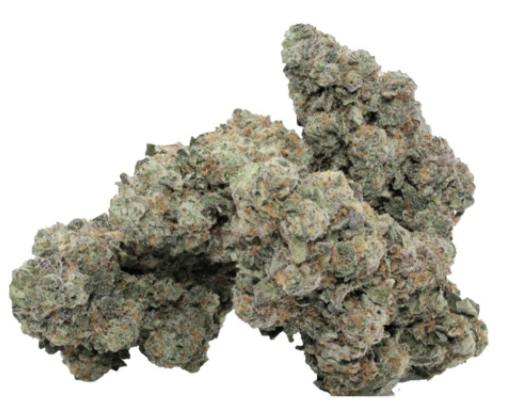 RC Supply Co. - Jet Fuel Flo (Jet Fuel Gelato x White Flo) - 3.5g (Indica)