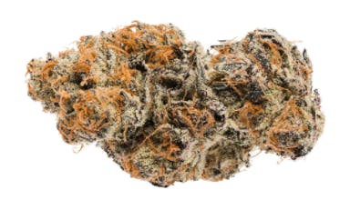 Jonny Chronic - Tang Breath (Tropicana x Mendo Breath) - 3.5g (Indica)