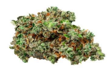 Root Beer Float (XXX OG x Vanilla Kush) 3.5g (Indica)