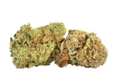 Ness - West Coast Banana Skunk (Ghost OG x Skunk Haze) - 3.5g (Indica)