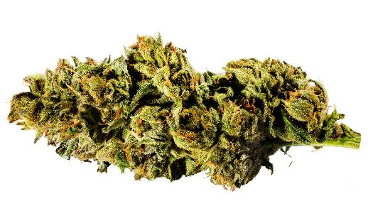 Redecan - Mint Chip Gelato (Green Cookies x SinMint Cookies) - 3.5g (Hybrid)