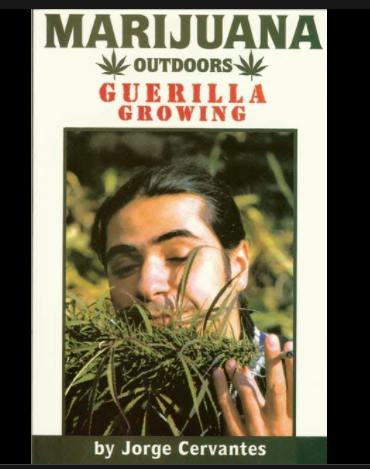 Marijuana Outdoors Master Growing Guide