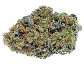 The Green Organic Dutchman - Organic Fire - 3.5g (Indica)