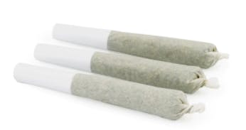 Top Leaf - Tropicana Gold Pre-Rolls - 3x0.5g (Sativa)