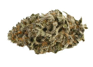 SOVE7EIGN - Strawberry Diesel 99 | Kawehnoke: Kenâ€™niionhontÃ©sa KaienkwÃ¡: - 3.5g (Sativa)