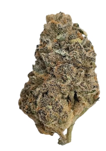 Animal Mints (Animal Cookies x SinMint Cookies) - 3.5g (Hybrid)