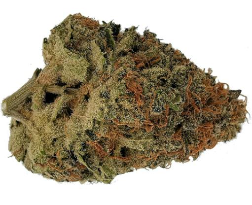 Sitka - Animal Sorbet (Animal Cookies x Sunset Sherbert) - 3.5g (Indica)