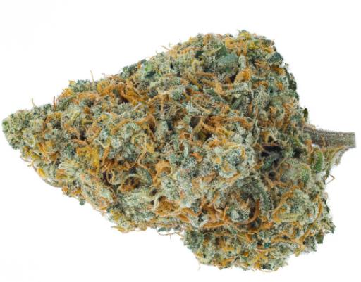 Whistler Cannabis - Organic Blue Cheese (Blueberry x UK Cheese) - 3.5g (Indica)