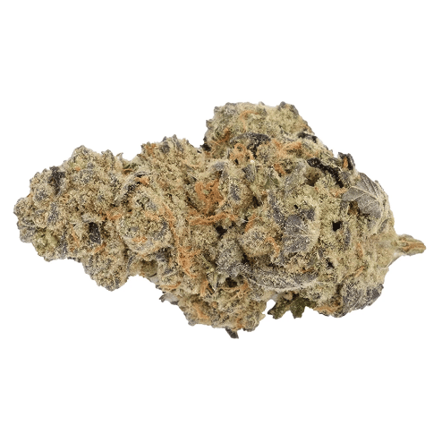 Kolab - Slurricane (Do-Si-Dos x Purple Punch) - 3.5g (Indica)
