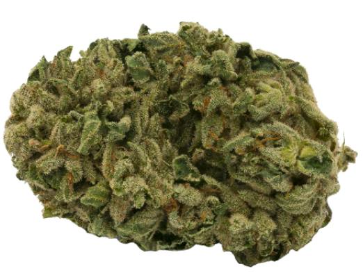 Laurentian Organic - Ethos Glue (Black Fire x Gorilla Glue) - 3.5g (Indica)