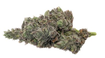 Msiku - Gelatto 33 x Tropicana Cookies - 3.5g (Indica)