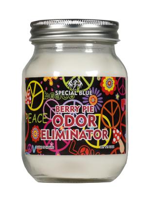 Special Blue Candle 13 oz. - Berry Pie