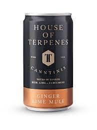 House of Terpenes - Canntinis - Ginger Lime Sparkling Water (236ml)