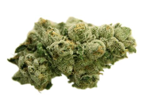 CELEBRITY - Dirk Jiggler (Red Pop x Gelato) - 3.5g (Hybrid)
