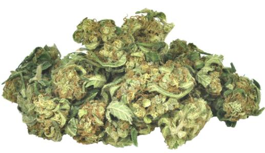 Strain Rec - Reserva Privada OG18 -3.5g (Indica)