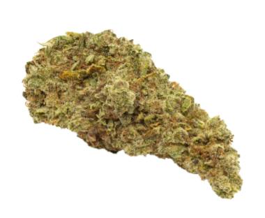 WINK - Craft Animal Face Cookies (Face Off OG x Animal Mints x Girl Scout Cookies) - 3.5g (Hybrid)