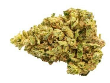 RIFF - Gilded Grams (Golden Goat) 3.5g (Sativa)