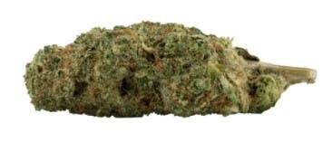 San Rafael '71 - Growers Stash #002 - Crystal Kush - 3.5g (Hybrid)