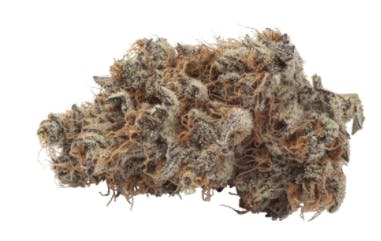 Natural History - Crescendo (Chemdawg x I-95 x Mandarin Cookies) - 3.5g (Indica)